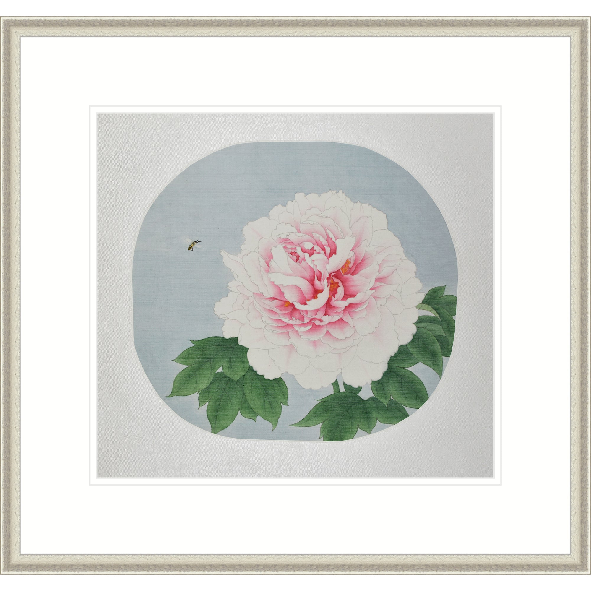Radiant Peony