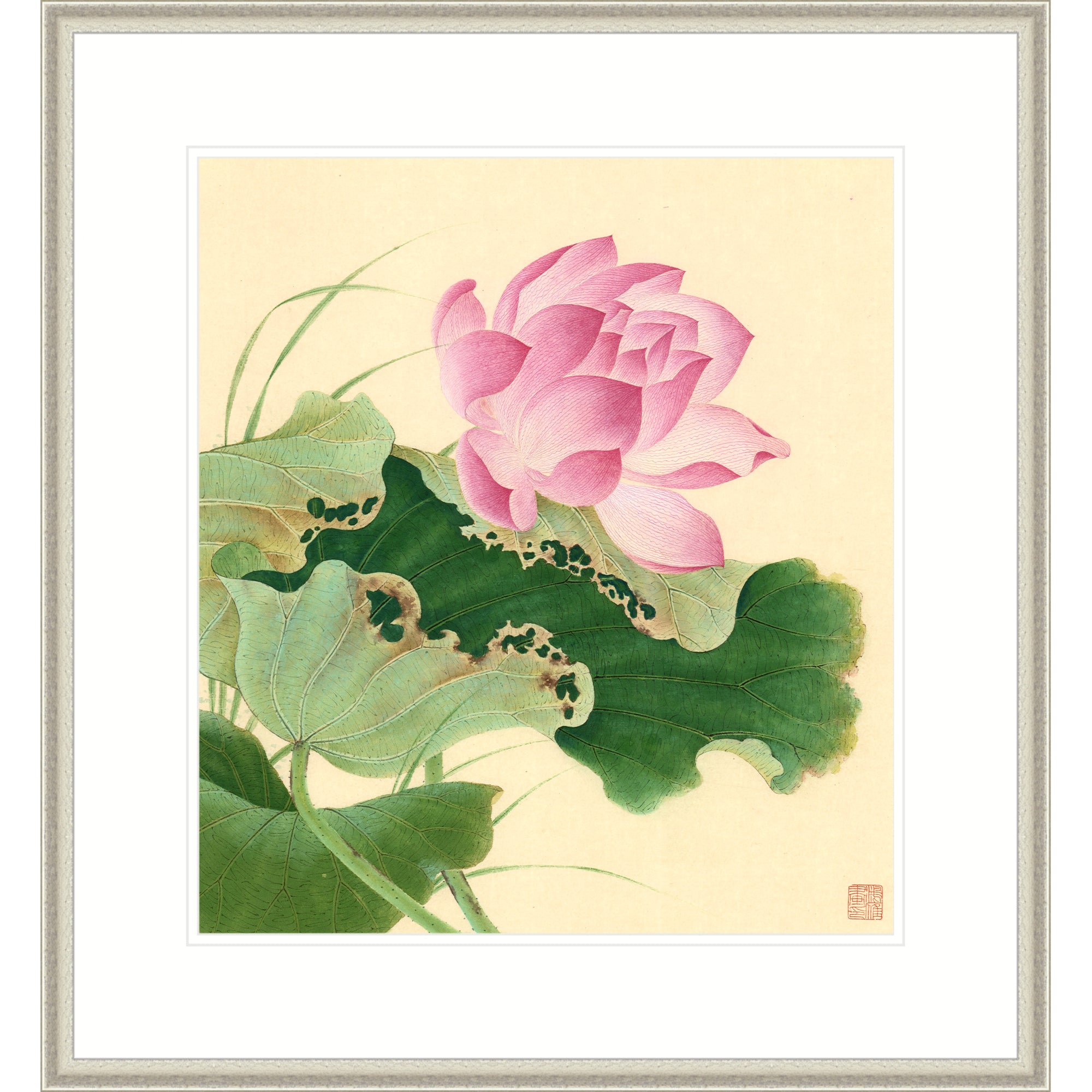 Lotus in Wind 02
