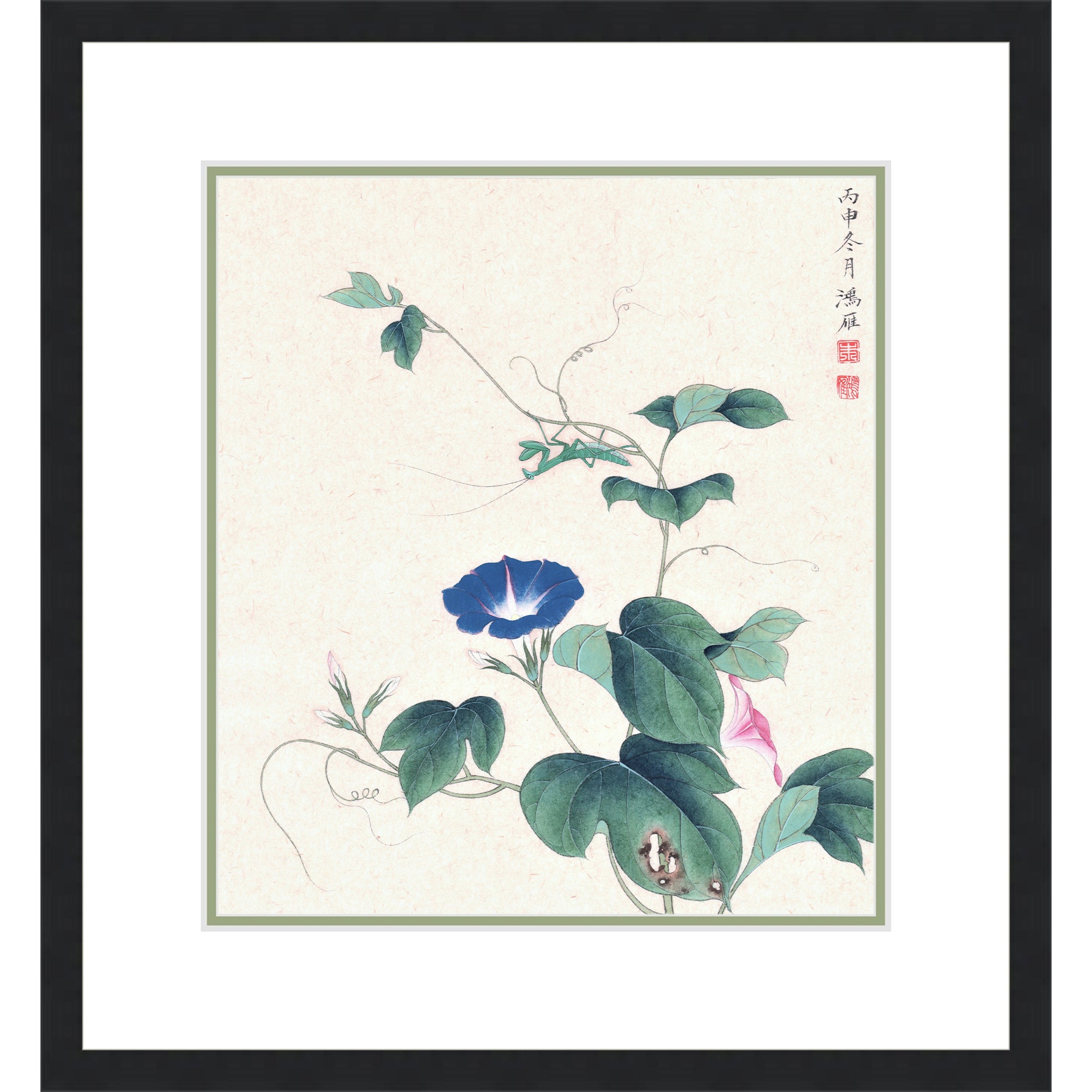 The Morning Glory and The Mantis