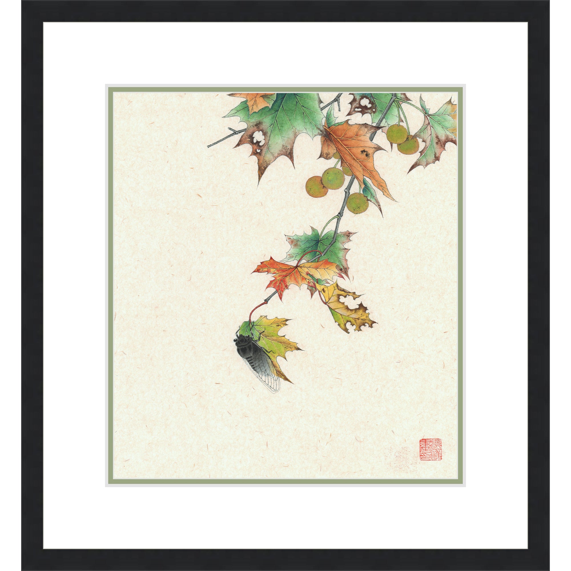 Chinese Parasol Tree Leaves and The Cicada