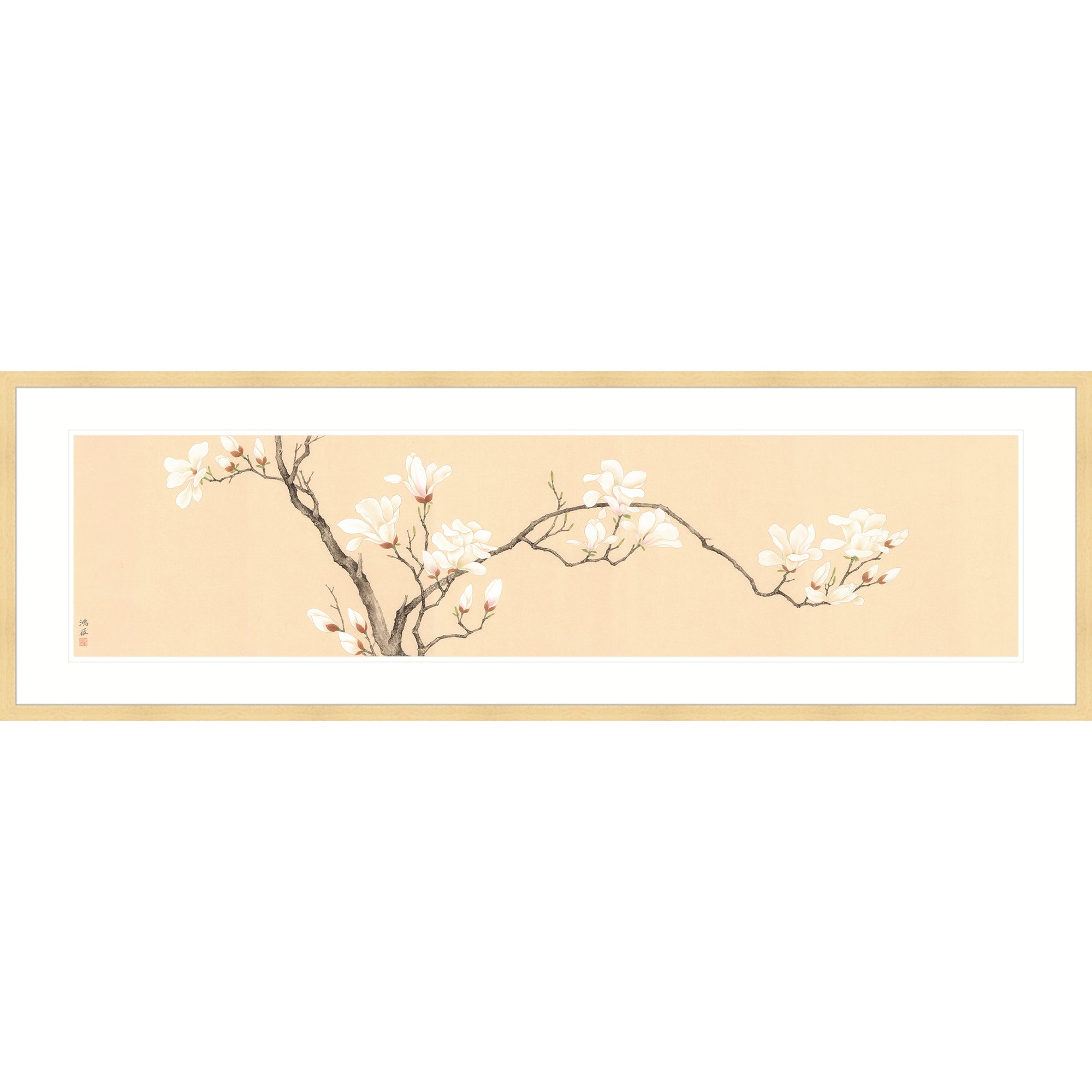 Magnolia