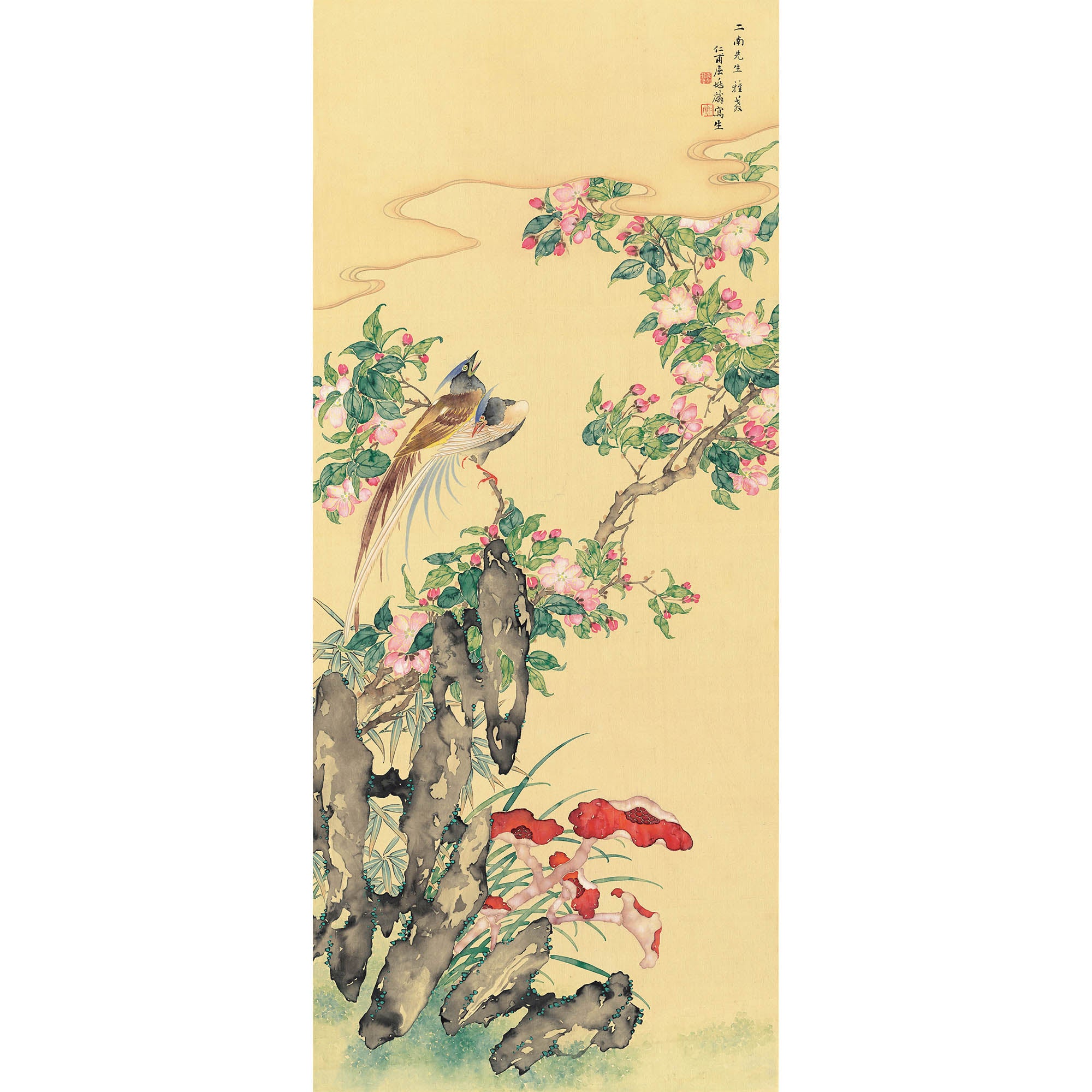 Chrysolophus and Hibiscus 01