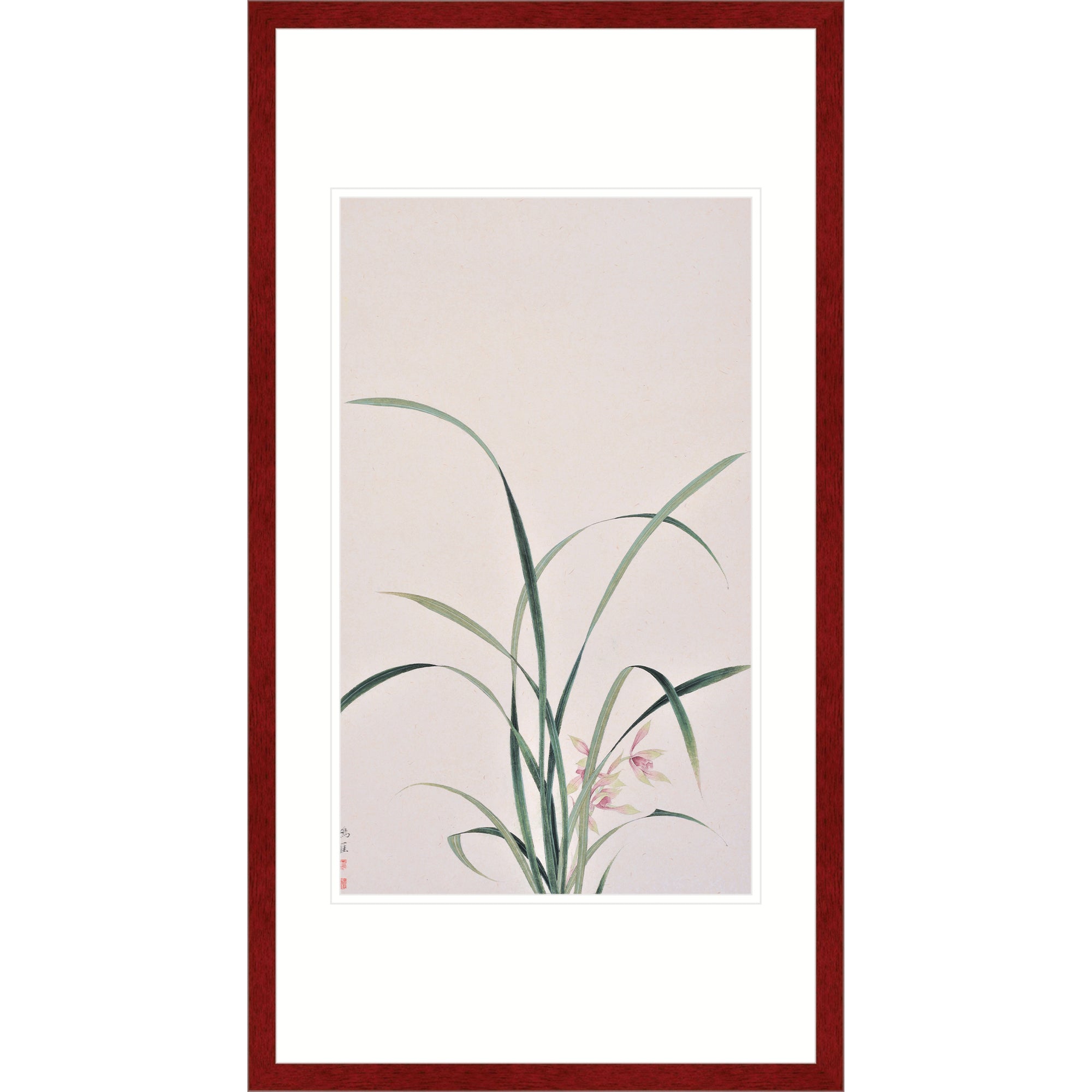 The Orchid