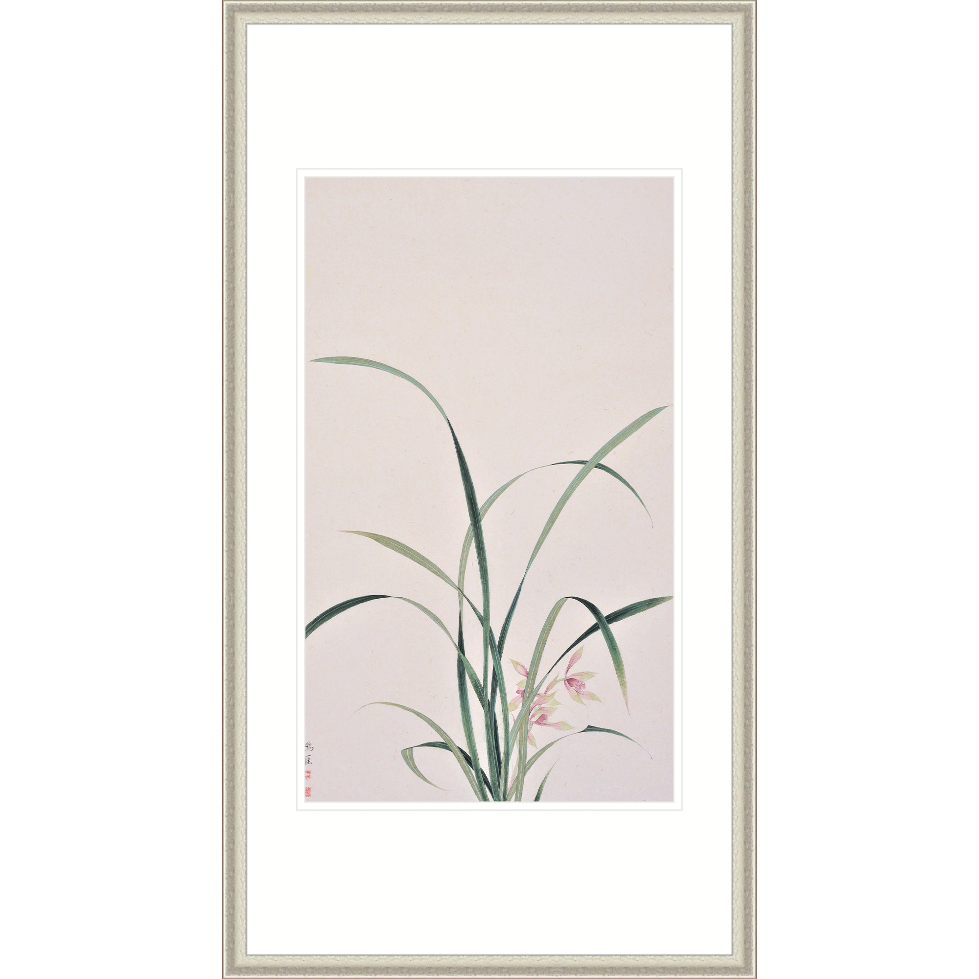 The Orchid