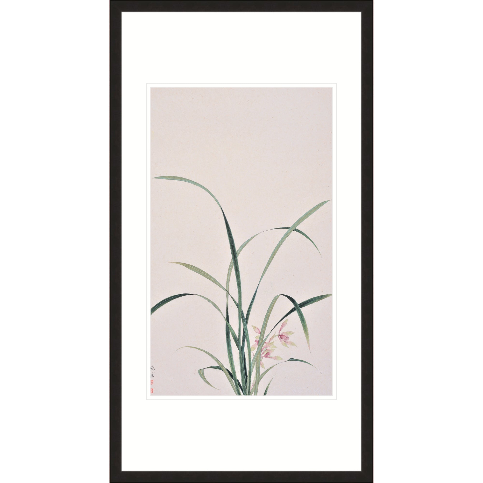 The Orchid