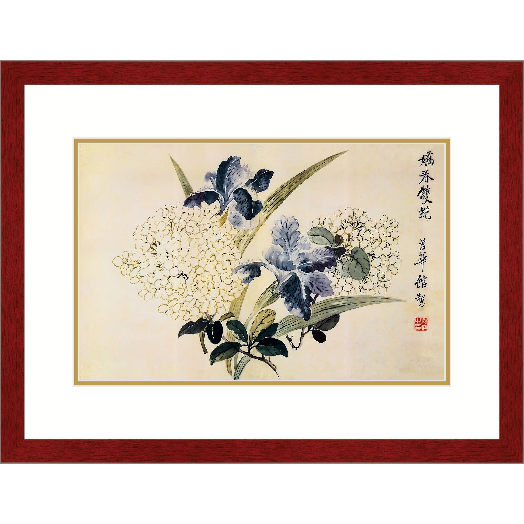 Blooming Hydrangeas