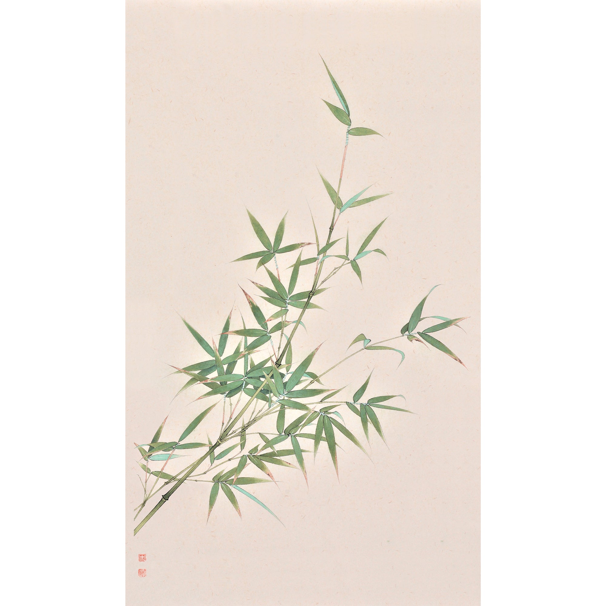 Sunny Bamboo