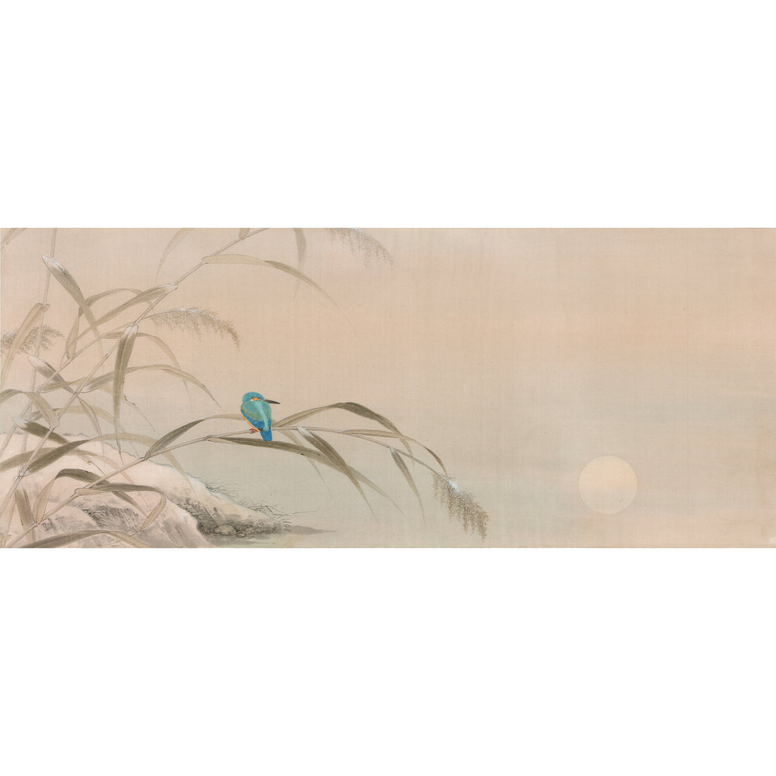 Kingfisher at Winter Dusk